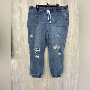 Lane Bryant Jogger Jeans